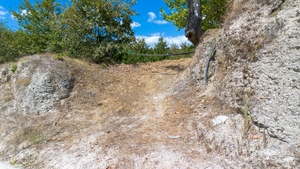 Terreno R�stico - Fregim, Amarante, Porto - Miniatura: 3/7