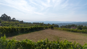 Terreno R�stico - Gouveia (S�o Sim�o), Amarante, Porto - Miniatura: 11/24