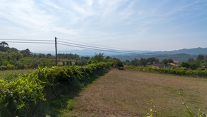 Terreno R�stico - Gouveia (S�o Sim�o), Amarante, Porto - Miniatura: 13/24