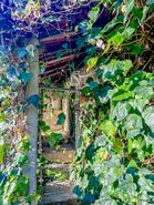 Moradia T3 - Amarante, Amarante, Porto - Miniatura: 51/55