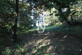 Terreno R�stico - REBORDELO, Amarante, Porto - Miniatura: 1/2