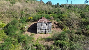 Quinta - Gesta��, Bai�o, Porto - Miniatura: 14/31