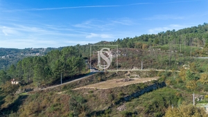 Terreno R�stico - Gondar, Amarante, Porto - Miniatura: 3/26