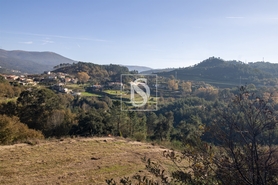 Terreno R�stico - Gondar, Amarante, Porto - Miniatura: 11/26