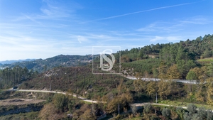 Terreno R�stico - Gondar, Amarante, Porto - Miniatura: 21/26