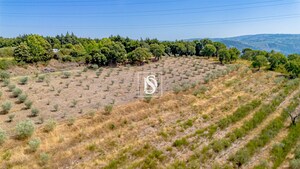 Terreno R�stico - Poiares, Peso da R�gua, Vila Real - Miniatura: 1/13