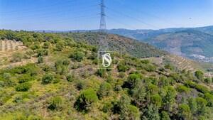 Terreno R�stico - Poiares, Peso da R�gua, Vila Real - Miniatura: 2/13