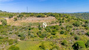 Terreno R�stico - Poiares, Peso da R�gua, Vila Real - Miniatura: 3/13