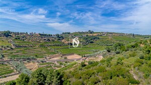 Terreno R�stico - Poiares, Peso da R�gua, Vila Real - Miniatura: 5/13