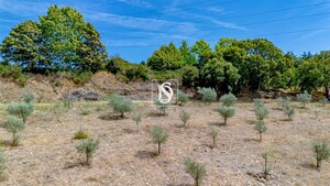 Terreno R�stico - Poiares, Peso da R�gua, Vila Real - Miniatura: 7/13