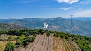 Terreno R�stico - Poiares, Peso da R�gua, Vila Real - Miniatura: 8/13