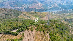Terreno R�stico - Poiares, Peso da R�gua, Vila Real - Miniatura: 10/13