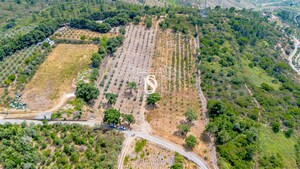Terreno R�stico - Poiares, Peso da R�gua, Vila Real - Miniatura: 12/13