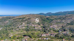 Terreno R�stico - Bustelo, Amarante, Porto - Miniatura: 34/59
