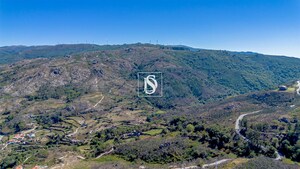 Terreno R�stico - Bustelo, Amarante, Porto - Miniatura: 54/59