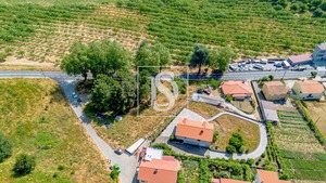 Terreno Rstico T0 - Gesta, Baio, Porto
