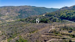 Terreno R�stico - Bustelo, Amarante, Porto