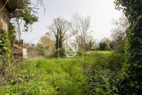 Quinta T0 - Fregim, Amarante, Porto - Miniatura: 17/28