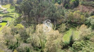 Quinta T0 - Fregim, Amarante, Porto - Miniatura: 24/28