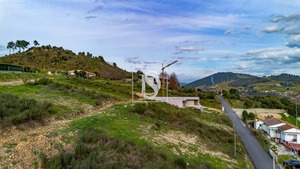 Terreno Rstico T0 - Santa Marinha do Zzere, Baio, Porto - Miniatura: 13/23