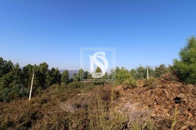 Terreno Rstico T0 - Frido, Amarante, Porto - Miniatura: 4/19