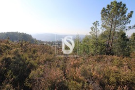 Terreno Rstico T0 - Frido, Amarante, Porto - Miniatura: 7/19