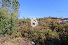 Terreno Rstico T0 - Frido, Amarante, Porto - Miniatura: 8/19