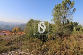 Terreno Rstico T0 - Frido, Amarante, Porto - Miniatura: 11/19