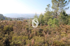 Terreno Rstico T0 - Frido, Amarante, Porto - Miniatura: 12/19