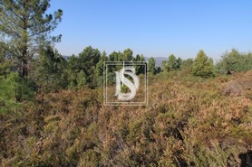 Terreno Rstico T0 - Frido, Amarante, Porto - Miniatura: 13/19