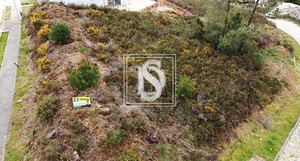 Terreno Rstico T0 - Frido, Amarante, Porto - Miniatura: 14/19