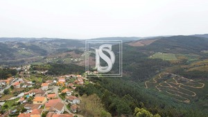 Terreno Rstico T0 - Frido, Amarante, Porto - Miniatura: 17/19