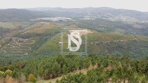 Terreno Rstico T0 - Frido, Amarante, Porto - Miniatura: 18/19