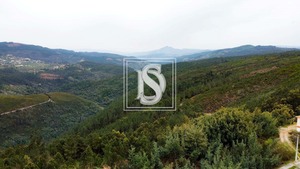 Terreno Rstico T0 - Frido, Amarante, Porto - Miniatura: 19/19