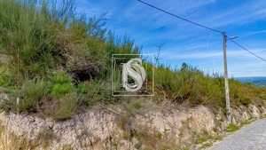 Terreno Urbano T0 - Fregim, Amarante, Porto - Miniatura: 5/14