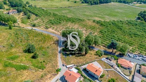 Terreno Rstico T0 - Gesta, Baio, Porto - Miniatura: 24/35