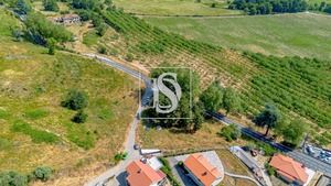 Terreno Rstico T0 - Gesta, Baio, Porto - Miniatura: 26/35