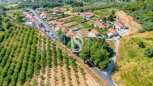 Terreno Rstico T0 - Gesta, Baio, Porto - Miniatura: 27/35