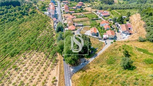 Terreno Rstico T0 - Gesta, Baio, Porto - Miniatura: 29/35