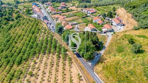Terreno Rstico T0 - Gesta, Baio, Porto - Miniatura: 30/35