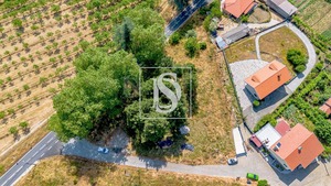 Terreno Rstico T0 - Gesta, Baio, Porto - Miniatura: 32/35