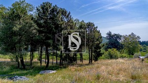 Terreno Rstico T0 - Gesta, Baio, Porto - Miniatura: 35/35