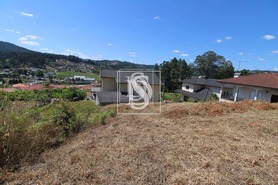 Terreno Rstico T0 - Teles, Amarante, Porto - Miniatura: 4/9