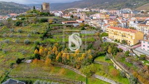 Moradia - Av�es, Lamego, Viseu - Miniatura: 19/19