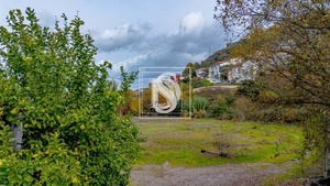 Terreno R�stico T0 - Cambres, Lamego, Viseu - Miniatura: 1/14