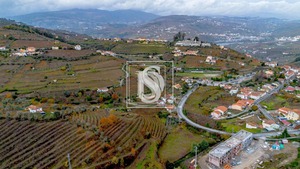 Terreno R�stico T0 - Cambres, Lamego, Viseu - Miniatura: 3/14