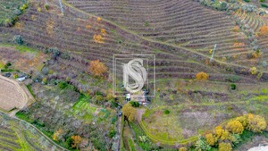 Terreno R�stico T0 - Cambres, Lamego, Viseu - Miniatura: 4/14