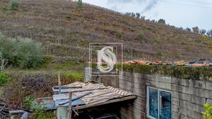 Terreno R�stico T0 - Cambres, Lamego, Viseu - Miniatura: 5/14