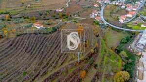 Terreno R�stico T0 - Cambres, Lamego, Viseu - Miniatura: 6/14