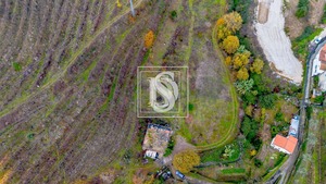 Terreno R�stico T0 - Cambres, Lamego, Viseu - Miniatura: 7/14